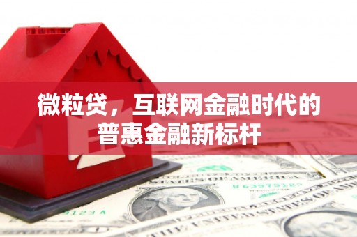 下营微粒贷，互联网金融时代的普惠金融新标杆