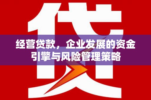 下营经营贷款，企业发展的资金引擎与风险管理策略