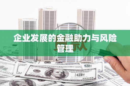 下营企业发展的金融助力与风险管理