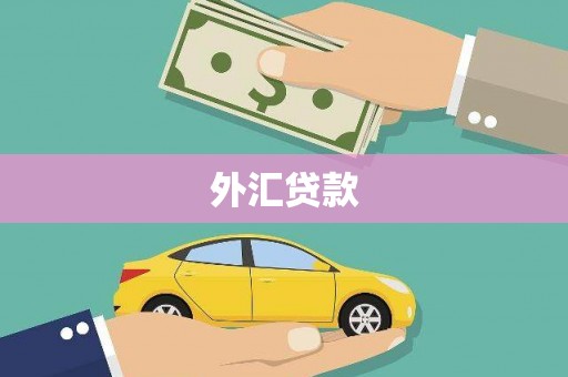 下营外汇贷款