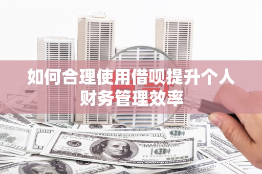 下营如何合理使用借呗提升个人财务管理效率