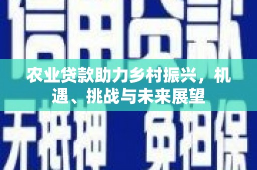 下营农业贷款助力乡村振兴，机遇、挑战与未来展望
