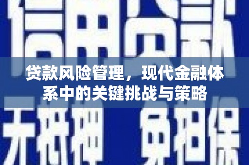 下营贷款风险管理，现代金融体系中的关键挑战与策略