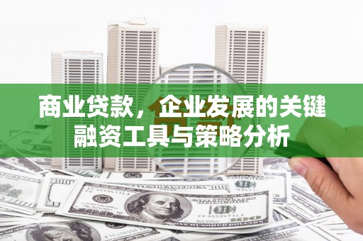 下营商业贷款，企业发展的关键融资工具与策略分析