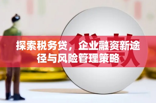 下营探索税务贷，企业融资新途径与风险管理策略