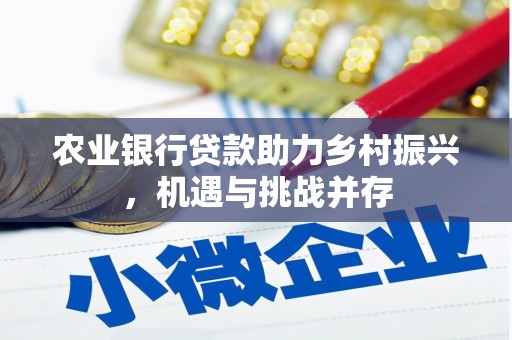 下营农业银行贷款助力乡村振兴，机遇与挑战并存