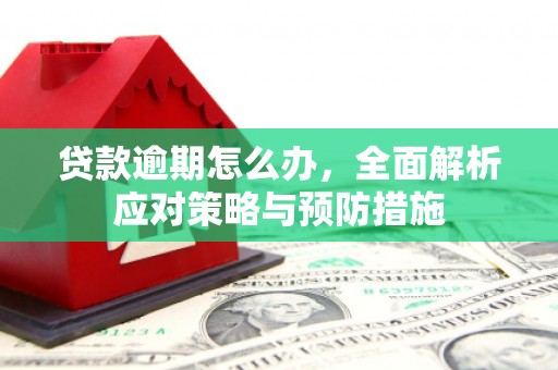 下营贷款逾期怎么办，全面解析应对策略与预防措施