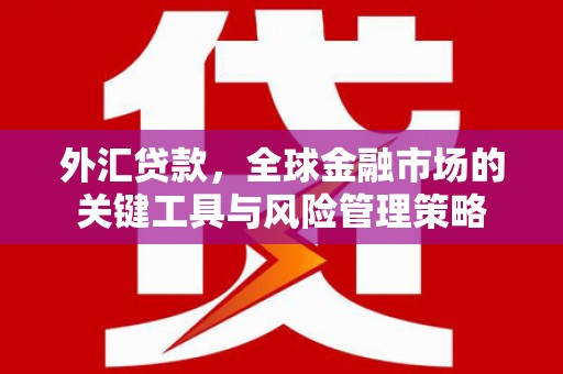 下营外汇贷款，全球金融市场的关键工具与风险管理策略
