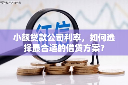 下营小额贷款公司利率，如何选择最合适的借贷方案？