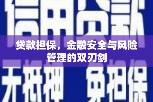 下营贷款担保，金融安全与风险管理的双刃剑