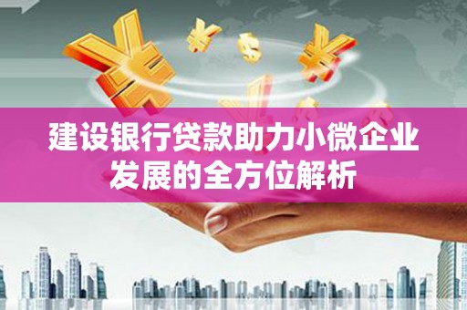 下营建设银行贷款助力小微企业发展的全方位解析