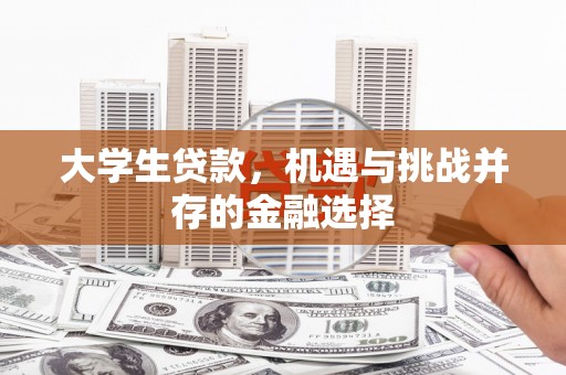 下营大学生贷款，机遇与挑战并存的金融选择
