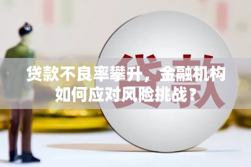 下营贷款不良率攀升，金融机构如何应对风险挑战？