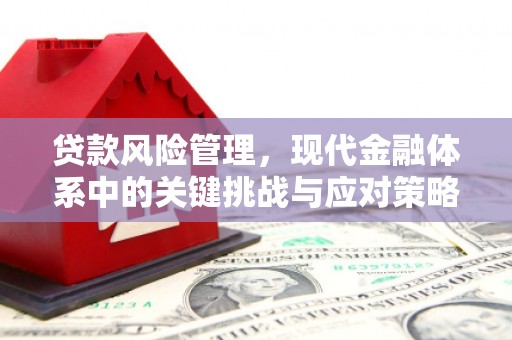 下营贷款风险管理，现代金融体系中的关键挑战与应对策略