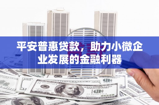 下营平安普惠贷款，助力小微企业发展的金融利器