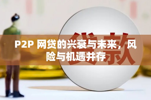 下营P2P 网贷的兴衰与未来，风险与机遇并存