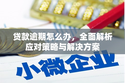 下营贷款逾期怎么办，全面解析应对策略与解决方案