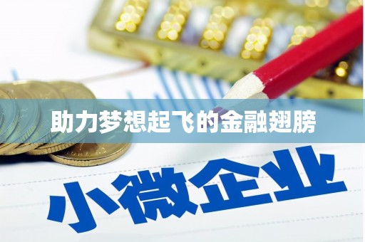 下营助力梦想起飞的金融翅膀