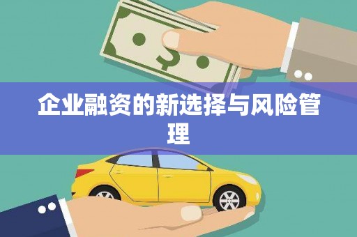 下营企业融资的新选择与风险管理